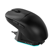 Мыши