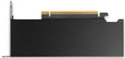 Видеокарта NVIDIA RTX PRO 2000 Blackwell [900-5G195-2551-000]