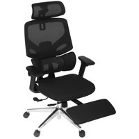 Компьютерное кресло Evolution LumbarPro FR AL черный