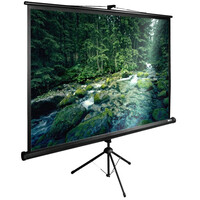 109" Экран для проектора Cactus TriExpert CS-PSTE-220X165-BK