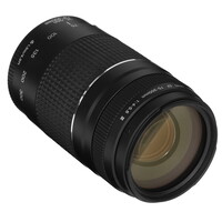 Объектив Canon EF 75-300mm f/4.0-5.6 III