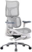 Компьютерное кресло Sihoo S100-B303-JT серый