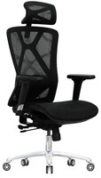 Компьютерное кресло Evolution EXO F1 Mesh черный