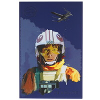 2 ТБ Внешний HDD Seagate FireCuda Luke Skywalker Special Edition [STKL2000412]