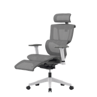 Компьютерное кресло FLEXISPOT C7WG-Mesh-FT белый