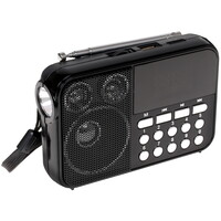 Радиоприемник Aceline AR320 черный