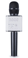 Микрофон SoundWave Q9 черный