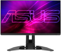 24.1" Монитор ASUS ROG Swift Pro PG248QP черный