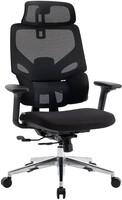 Компьютерное кресло Evolution LumbarPro AL черный