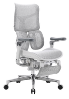 Компьютерное кресло Sihoo S300-B102-JT серый
