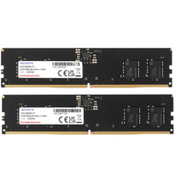 Оперативная память ADATA [AD5U56008G-DT] 16 ГБ