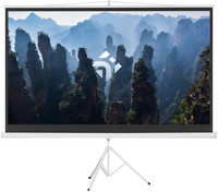 100" Экран для проектора DEXP TMD-100