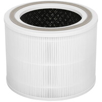 Фильтр DEXP H13DAP-C255IUV