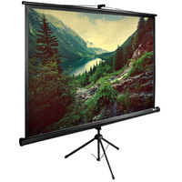 122.49" Экран для проектора Cactus TriExpert CS-PSTE-220X220-BK