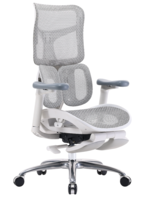 Компьютерное кресло Sihoo S100 -B103 -JT серый