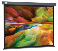 100" Экран для проектора Cactus Wallscreen CS-PSW-152X203-SG