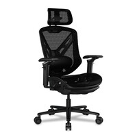 Компьютерное кресло Cougar Speeder Ergonomic черный