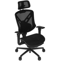 Компьютерное кресло Cougar Speeder Ergonomic черный