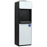 Диспенсер DEXP DWD-IT565W белый