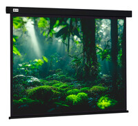 119" Экран для проектора Cactus Wallscreen CS-PSW-213X213-BK