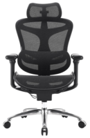 Компьютерное кресло Sihoo C100-B101 черный