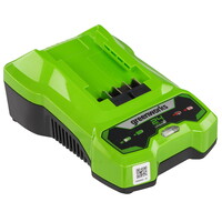 Зарядное устройство GreenWorks G24C4 24V