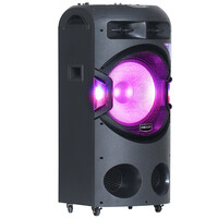 Аудиосистема DEXP V870 черный