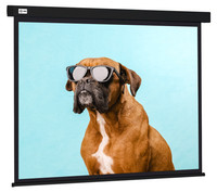 120" Экран для проектора Cactus Wallscreen CS-PSW-183X244-BK