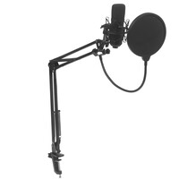 Микрофонный комплект Ritmix RDM-180 черный