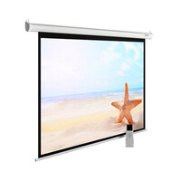 140" Экран для проектора Cactus SIlverMotoExpert CS-PSSME-300X188-DG