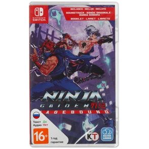 Обзор игры Ninja Gaiden Ragebound