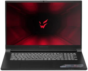 17.3" Ноутбук ARDOR GAMING NEO N17-I5ND404 черный