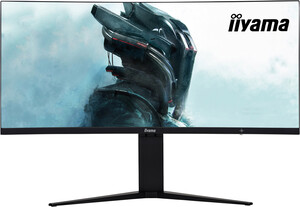 Купить Монитор Iiyama 34