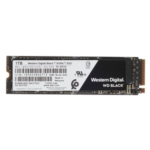 Wds100t2x0c 2025