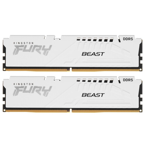 Купить Оперативная память Kingston FURY Beast White AMD [KF556C36BWEK2-32] 32 ГБ в интернет-магазине DNS. Характеристики, цена Kingston FURY Beast White AMD | 5406124.