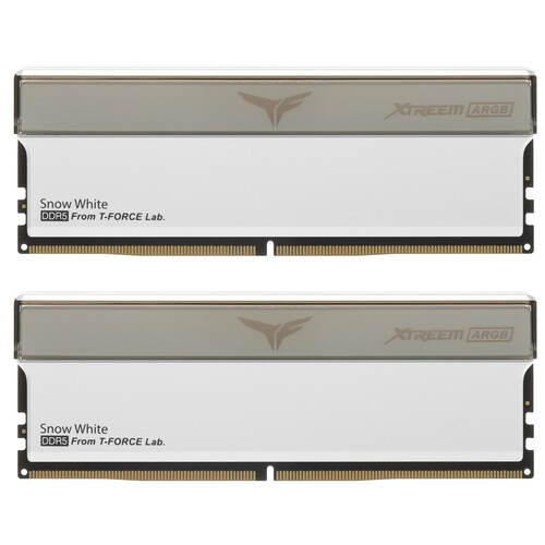 Купить Оперативная память Team Group T-Force XTREEM ARGB [FFAD532G6000HC30DC01] 32 ГБ в интернет-магазине DNS. Характеристики, цена Team Group T-Force XTREEM ARGB | 5620091.