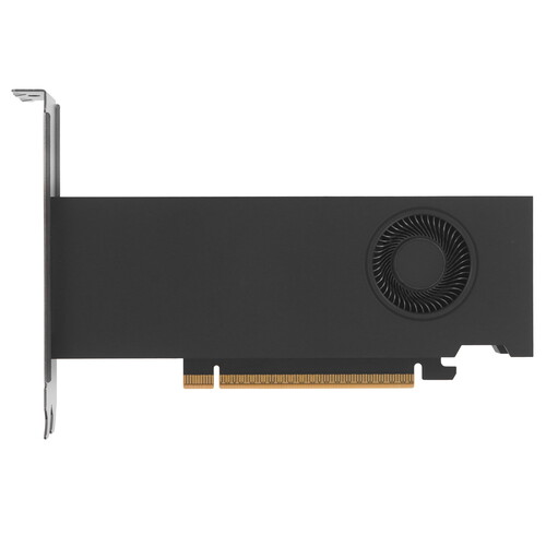 Купить Видеокарта NVIDIA RTX PRO 2000 Blackwell [900-5G195-2250-000] в интернет-магазине DNS. Характеристики, цена NVIDIA RTX PRO 2000 Blackwell | 5654243.