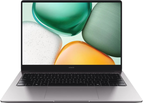Купить 14" Ноутбук HONOR MagicBook X14 2025 5301ALXB/GDG-X серый в интернет-магазине DNS. Характеристики, цена HONOR MagicBook X14 2025 5301ALXB/GDG-X | 5609429.