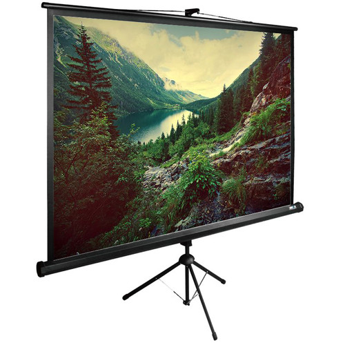 Купить 122.49" Экран для проектора Cactus TriExpert CS-PSTE-220X220-BK в интернет-магазине DNS. Характеристики, цена Cactus TriExpert CS-PSTE-220X220-BK | 8158480.
