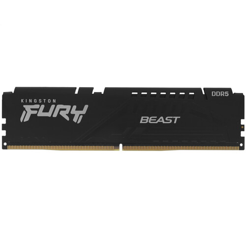 Купить Оперативная память Kingston FURY Beast Black [KF556C40BB-32] 32 ГБ в интернет-магазине DNS. Характеристики, цена Kingston FURY Beast Black | 5053664.