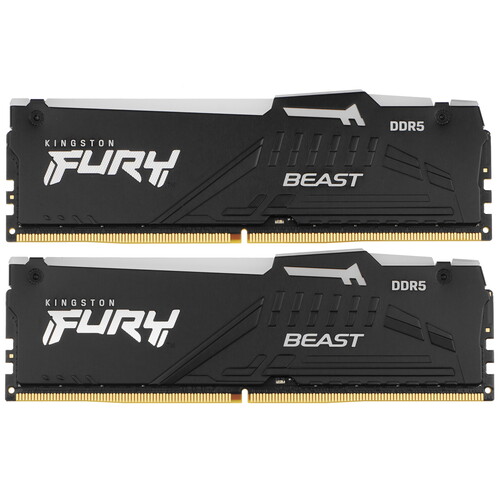 Купить Оперативная память Kingston FURY Beast Black AMD RGB [KF556C36BBEAK2-64] 64 ГБ в интернет-магазине DNS. Характеристики, цена Kingston FURY Beast Black AMD RGB | 5093139.