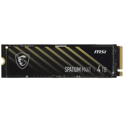Купить 4000 ГБ M.2 NVMe накопитель MSI SPATIUM M461 [S78-440R030-P83] в интернет-магазине DNS. Характеристики, цена MSI SPATIUM M461 | 5439876.