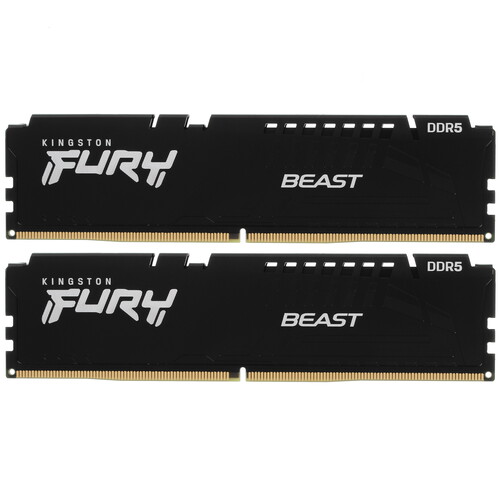 Купить Оперативная память Kingston FURY Beast Black [KF552C36BBEK2-32] 32 ГБ в интернет-магазине DNS. Характеристики, цена Kingston FURY Beast Black | 5074964.