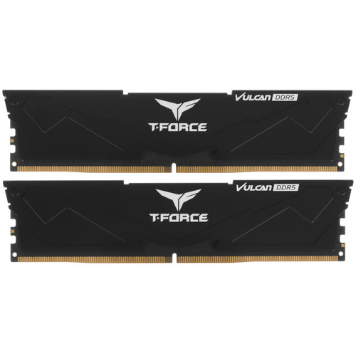 Купить Оперативная память Team Group T-Force Vulcan [FLBD532G5600HC38JDC01] 32 ГБ в интернет-магазине DNS. Характеристики, цена Team Group T-Force Vulcan | 5635692.