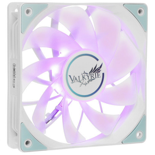 Купить Реверсный вентилятор Valkyrie V12 Reverse ARGB 120 в интернет-магазине DNS. Характеристики, цена Valkyrie V12 Reverse ARGB 120 | 5487774.