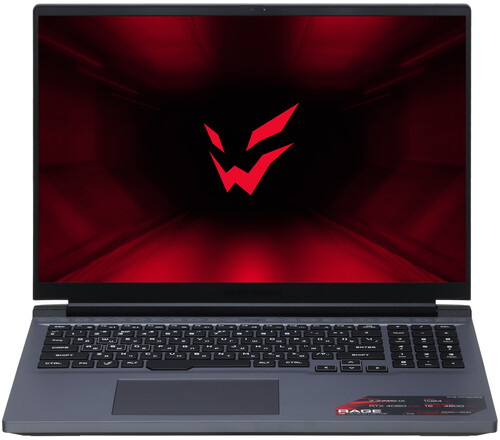 Купить 16" Ноутбук ARDOR Gaming RAGE R16-R7ND403 серый в интернет-магазине DNS. Характеристики, цена ARDOR Gaming RAGE R16-R7ND403 | 9093319.