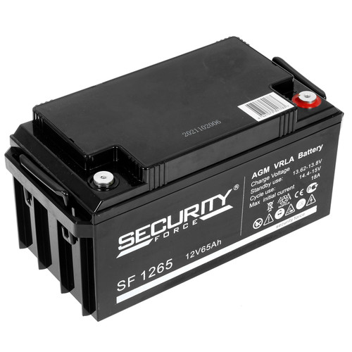 Купить Аккумуляторная батарея для ИБП SECURITY FORCE SF 1265 в интернет-магазине DNS. Характеристики, цена SECURITY FORCE SF 1265 | 4896288.