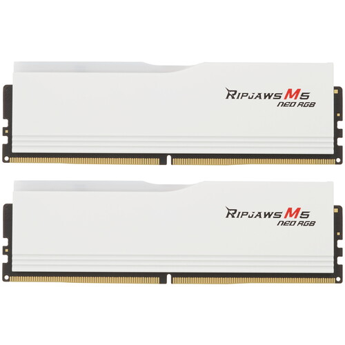 Купить Оперативная память G.Skill RIPJAWS M5 NEO [F5-6000J3036F24GX2-RM5NRW] 48 ГБ в интернет-магазине DNS. Характеристики, цена G.Skill RIPJAWS M5 NEO | 5616348.