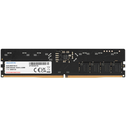 Купить Оперативная память ADATA [AD5U560016G-S] 16 ГБ в интернет-магазине DNS. Характеристики, цена ADATA | 5406961.