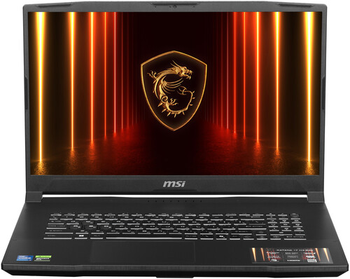 Купить 17.3" Ноутбук MSI Katana 17 HX B14WGK-053XRU черный в интернет-магазине DNS. Характеристики, цена MSI Katana 17 HX B14WGK-053XRU | 5629067.